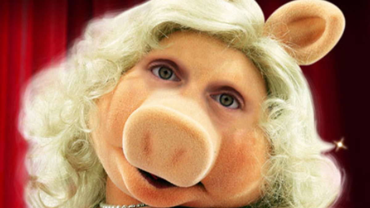 Muppets Diese Bilder Zeigen Kermit Und Co Mit Echten Augen Watson