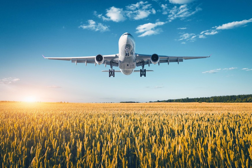 Amazing airplane. Landscape with big white passenger airplane is flying in the blue sky over wheat field at colorful sunset in summer. Passenger airplane is landing. Business trip. Commercial aircraft