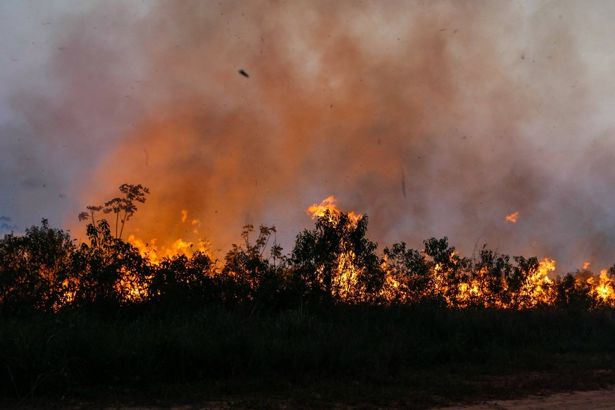 LBREA, AM - 15.08.2021: QUEIMADAS NO MUNICPIO DE LBREA AM - Fires in an area close to BR 230 Transamaznica, this Sunday afternoon 15, in the municipality of Lbrea AM, in southern Amazonas. x2107488x P ...