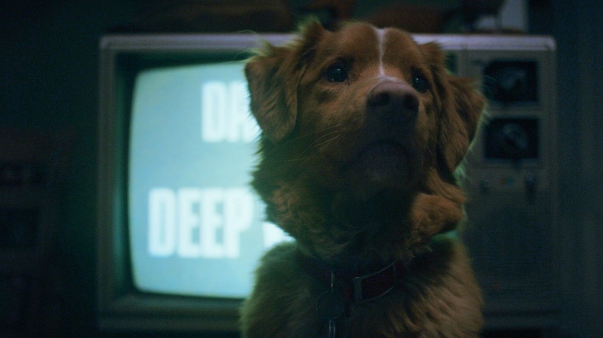 Nein, dieser Film wird doch nicht ... bitte nicht! ("Good Boy", 2025)