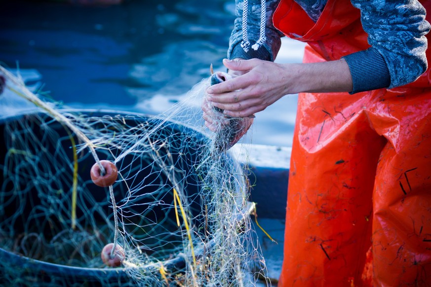 fisherman while cleaning the fishnet from the fish at sunrise