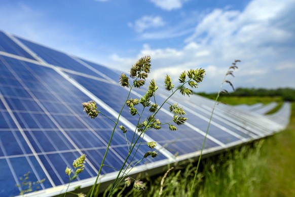 Photovoltaikanlagen spielen für das Gelingen der Energiewende eine essenzielle Rolle.