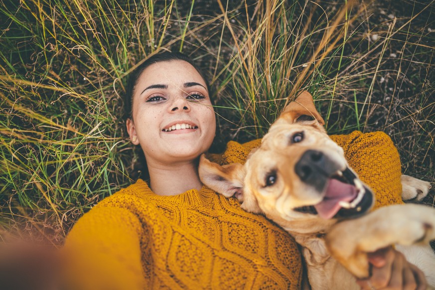 Happy dog and his favorite person taking selfie on camping in forest