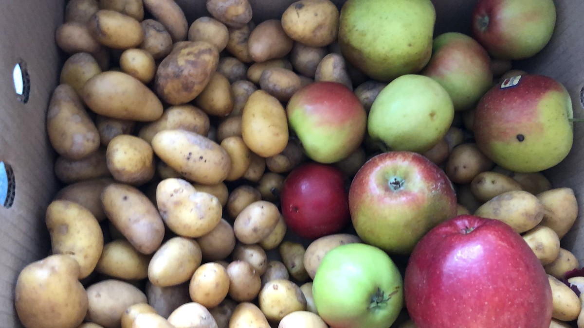 Äpfel und Kartoffeln können sich unter Umständen doch ganz gut vertragen. Eigentlich sollte man Obst nicht neben eine Kartoffel legen, da das den Keimprozess beschleunigen könnte.