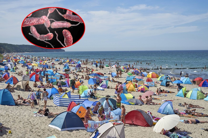 24.07.2019, Warnemünde, die Ostsee schwitzt. Bei hochsommerlichen Temperaturen ist der Strand von Warnemünde (Landkreis Rostock) bis auf den letzten Platz gefüllt. *** 24 07 2019, Warnemünde, the Balt ...