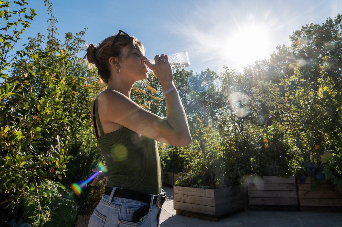 Viel zu trinken ist das A und O der Gesundheit, besonders bei heißen Temperaturen.