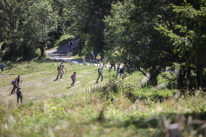 Huge Search Under Way For Missing Two-Year-Old Boy - Vernet A group of volunteers looking for little Emile. French police are engaged in an extensive air and land search for a missing two-year-old boy ...