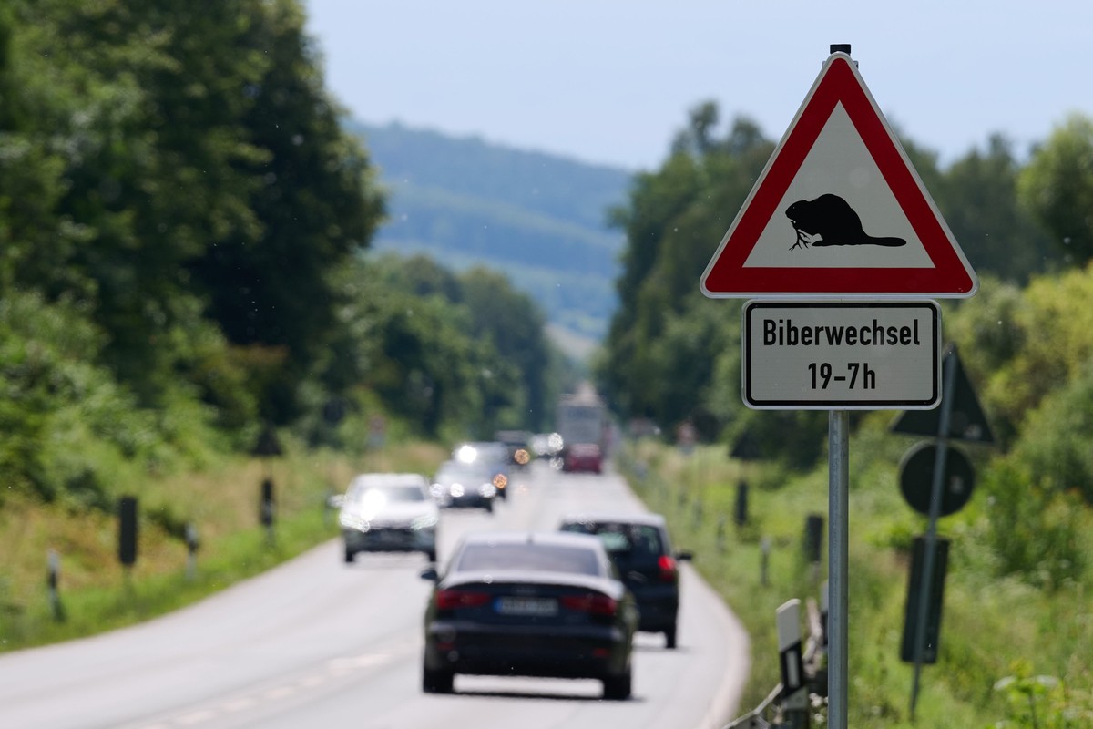 PRODUKTION - 20.06.2024, Nordrhein-Westfalen, H