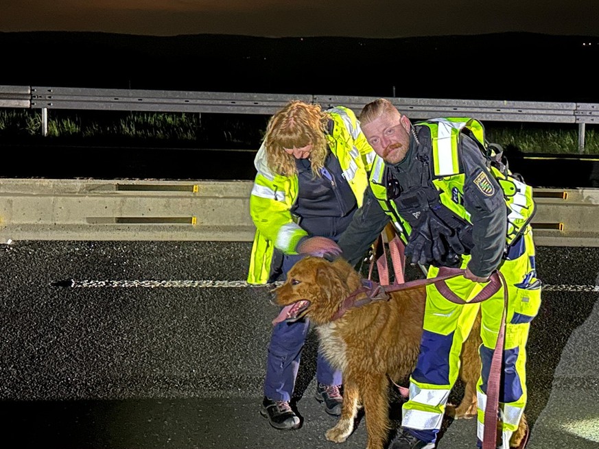 Polizei Sachsen rettet einen Hund: Der treue Vierbeiner wich seinem gestorbenen Freund nicht von der Seite.