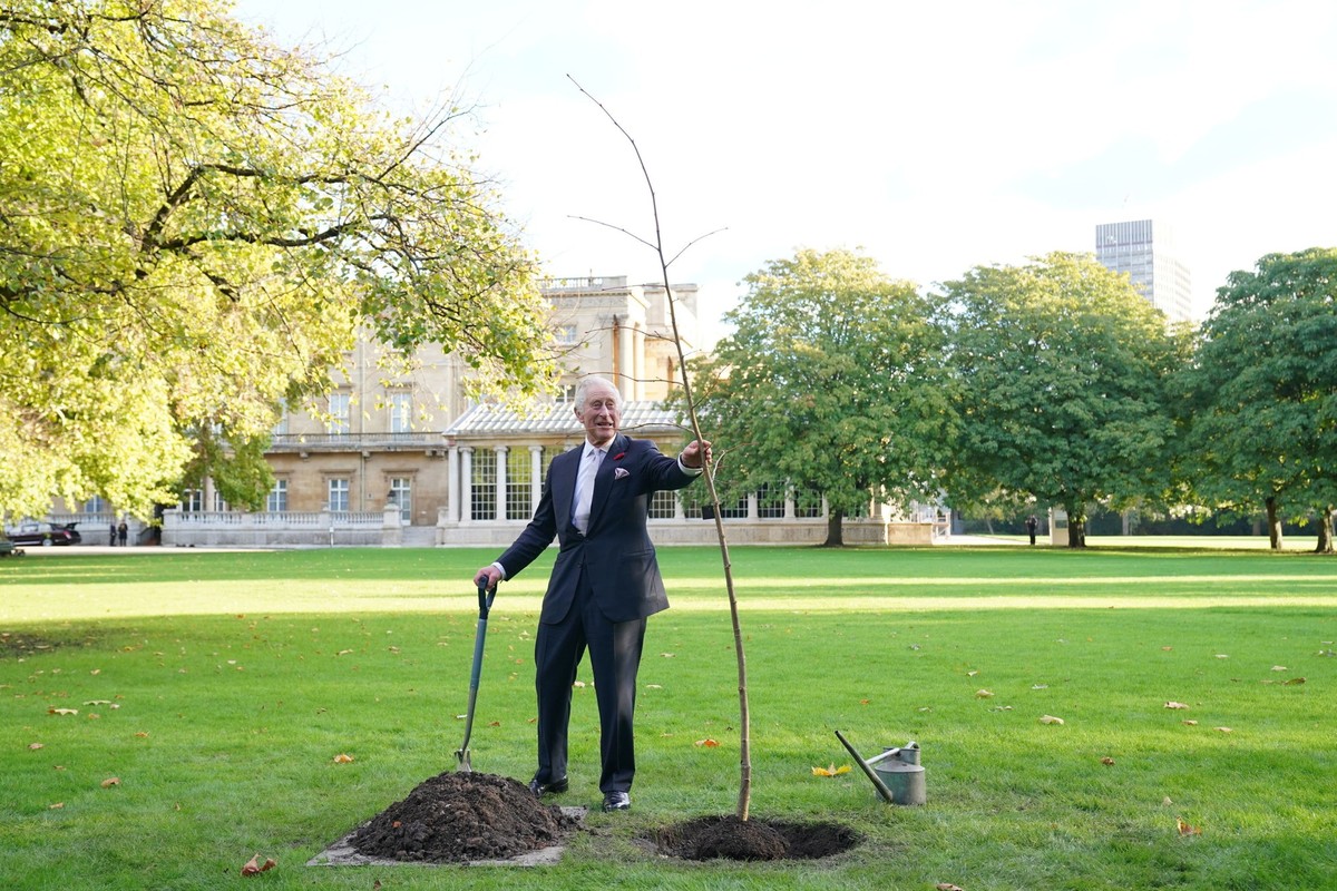 Britain&#039;s King Charles III planting a lime tree near the Tea House in the Buckingham Palace garden, after hosting a reception for world leaders, business figures, environmentalists and NGOs, at B ...