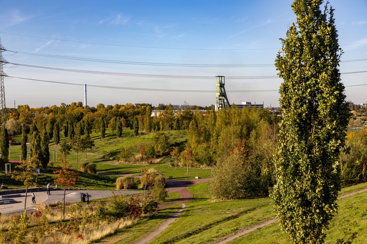 Der Park in Essen.