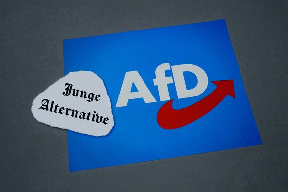 Junge Alternative und AfD-Fahne Junge Alternative und AfD-Fahne, 28.04.2023, Borkwalde, Brandenburg, Auf einer Fahne der AfD liegt der Schriftzug Junge Alternative. *** Junge Alternative and AfD flag  ...