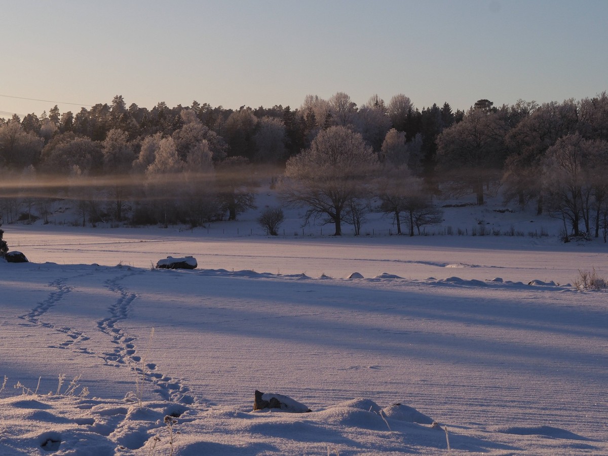 Winter snow landscape on the countryside with fields and forest Stockholm, Stockholm County, Sweden R_BDNB241228-1609016-01