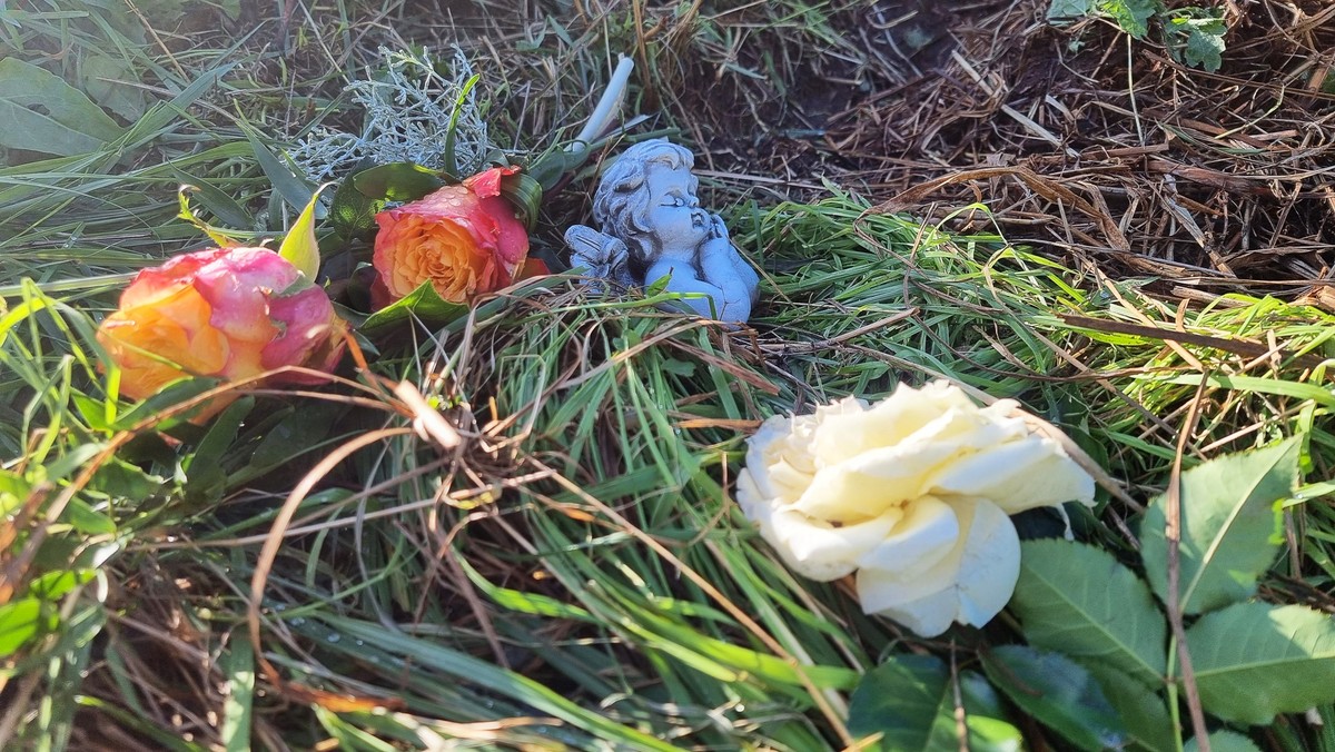 13.09.2023, Niedersachsen, Barenburg: Blumen und eine Engelsfigur liegen am Tatort im niedersächsischen Landkreis Diepholz. Nach dem gewaltsamen Tod einer 17-Jährigen laufen die Ermittlungen auf Hocht ...