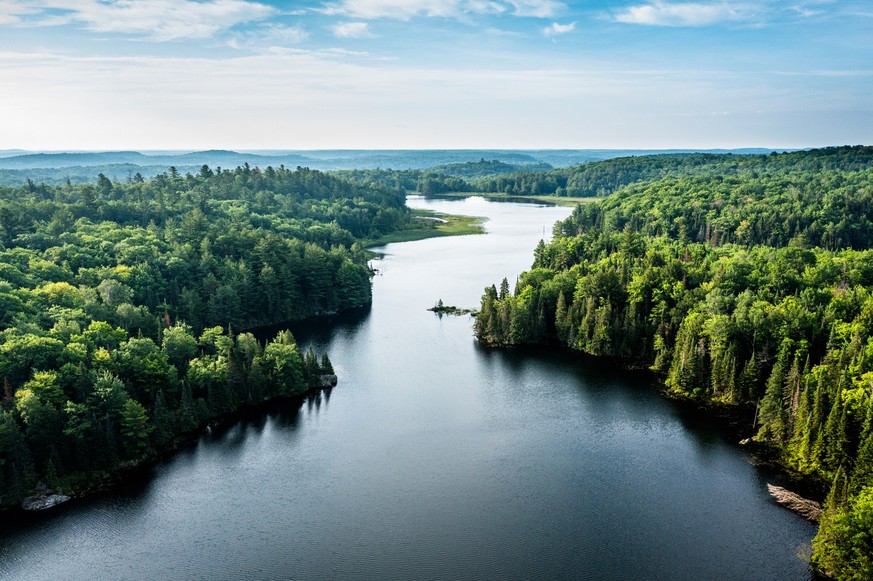 Aerial view of a lake and forest in the morning with mist over the forest in the distant horizon