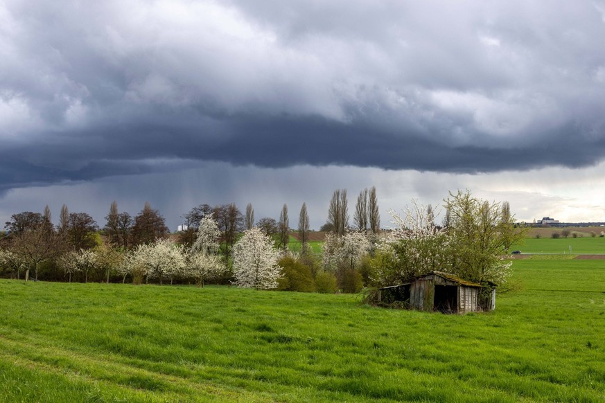 Der Frühling hat in diesem Jahr offenbar keinen großen Bock, lange zu bleiben.