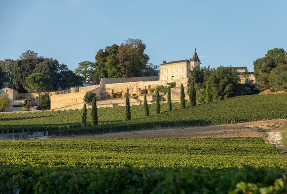 Das Weingut Clos La Madeleine in der Region Saint Émilion bei Bordeaux.