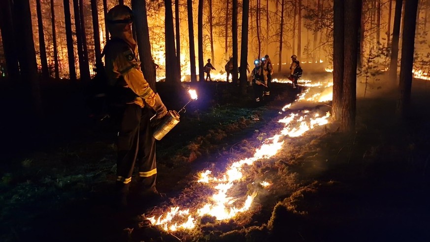 Feuerwehrleute kämpfen in Brandenburg gegen schwere Waldbrände.