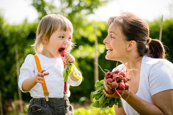 Little child eating freshly picked up red radish, smiling mother looking on it - outdoor in garden