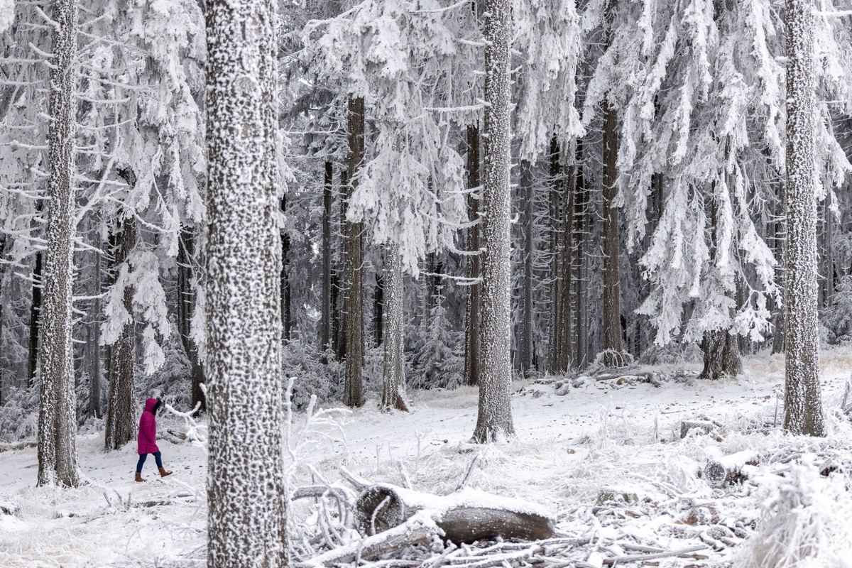 Winterwetter im Taunus Die Höhenlagen des Taunus rund um den Großen Feldberg sind am Samstag bei Frost, Raureif und einer dünnen Schneedecke winterlich., Schmitten Hessen Deutschland *** Winter weathe ...