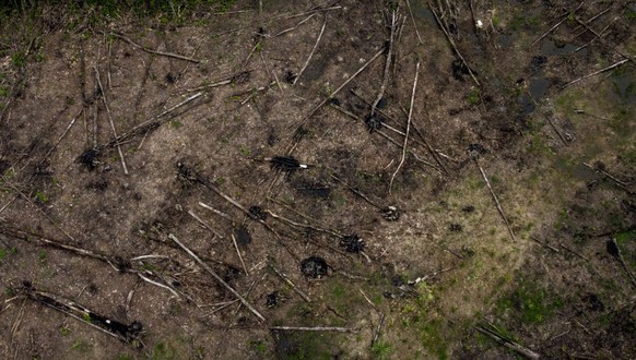 AMAZONAS, COLOMBIA - MARCH 31: An aerial view of the deforestation and the destruction of habitats in Amazon, Colombia on March 31, 2023. The main cause of this continuous increase in forest exploitat ...