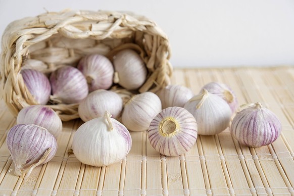The following text was translated automatically Garlic solo or garlic onion, a small outing with a mild garlic taste from the province of Yunnan in China. Photo: Kim van Dam PUBLICATIONxINxGERxSUIxAUT ...