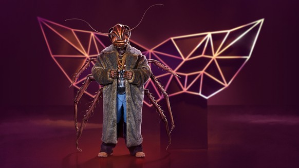 Kakerlake: Steckt wirklich Sido unter dem aufwendigen Outfit?
