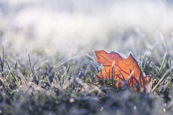 Nicht nur nächtlicher Bodenfrost ist möglich, sondern sogar Schnee im Flachland.