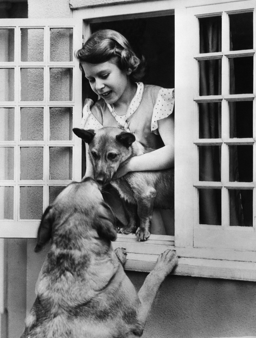 British Royalty. Future Queen of England Princess Elizabeth with pet German Shepherds, circa 1936. Courtesy Everett Collection PUBLICATIONxINxGERxSUIxAUTxONLY Copyright: xCourtesyxEverettxCollectionx  ...