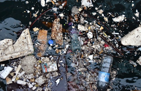 Die Flüsse und Meere sind vielerorts von einem Teppich aus Müll bedeckt.