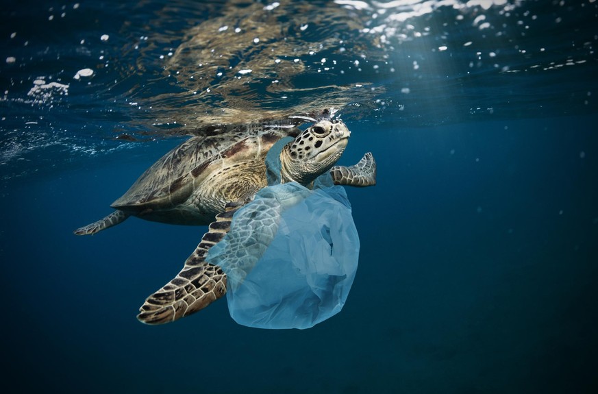Sampai laut kembali ke kehidupan laut lagi: Bangsa-bangsa menyatakan perang terhadap sampah plastik. 