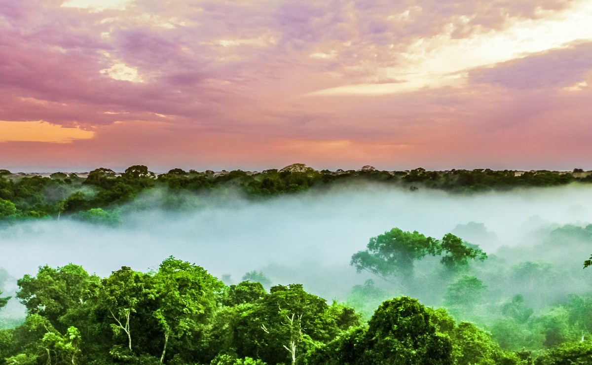 View on sunset over the trees in the brazilian rainforest of Amazonas xkwx amazon, brazil, rainforest, reflection, sun, tropic, colorful, jungle, orange, sky, tropical, water, forest, lake, landmark,  ...