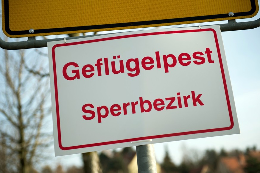 ARCHIV - 23.11.2016, Sachsen, Dresden: An einem Ortseingangsschild hängt ein Schild mit der Aufschrift «Geflügelpest Sperrbezirk». (zu dpa: «Bisher nur wenige Ausbrüche von Vogelgrippe») Foto: Arno Bu ...