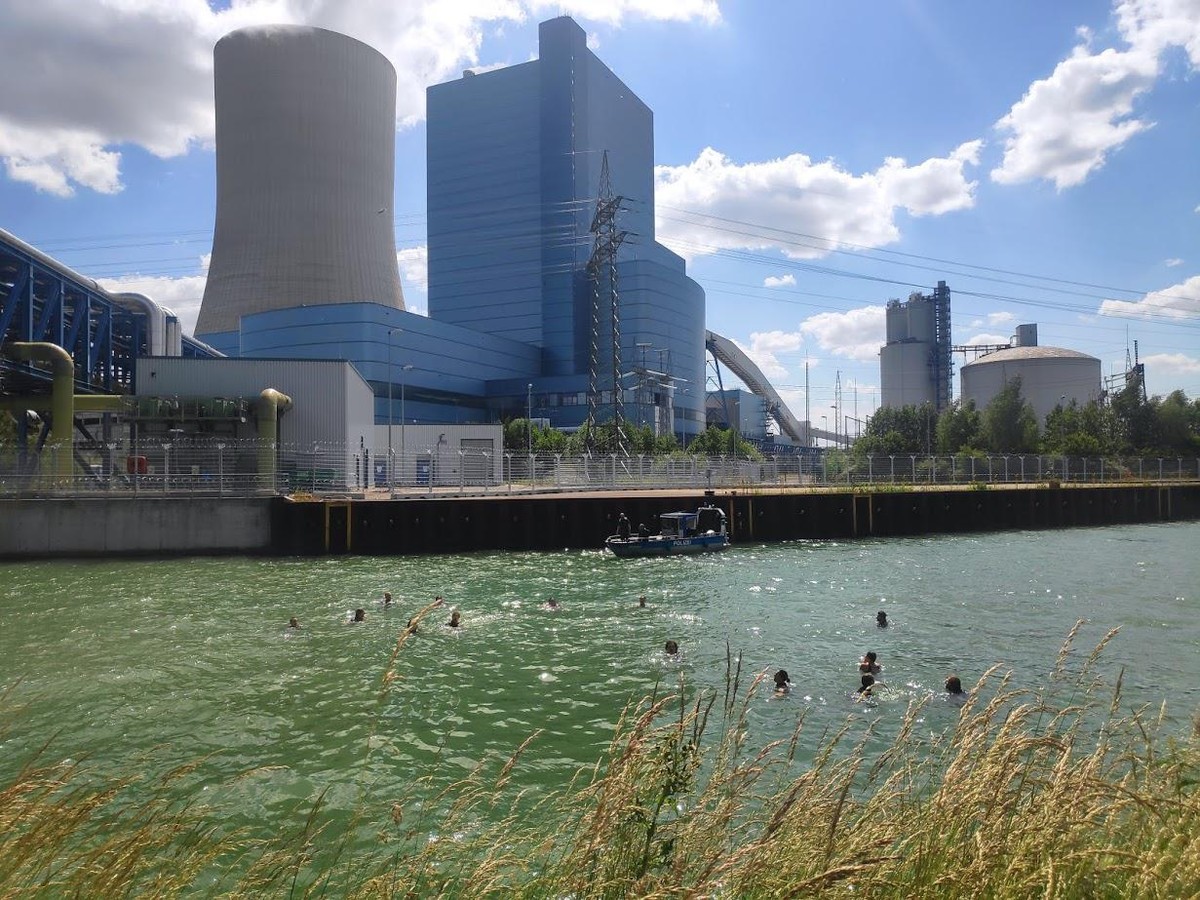 Die Demonstranten rufen nicht nur, sondern schwimmen auch.