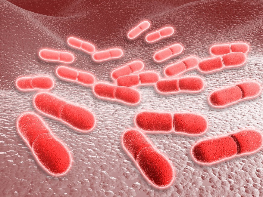 Microscopic view of Listeria monocytogenes. Listeria monocytogenes is the causative agent of the bacterial infection called listeriosis. PUBLICATIONxINxGERxSUIxAUTxONLY Copyright: StocktrekxImages STK ...