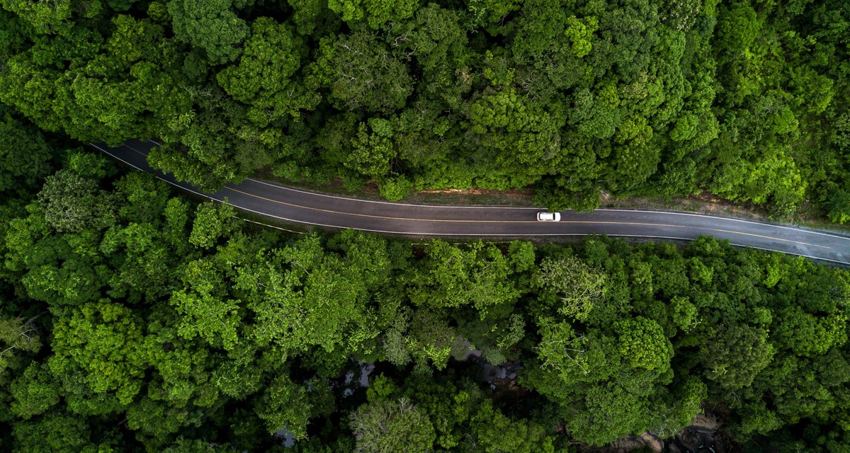 Auto fährt durch den Wald. Luftaufnahme.