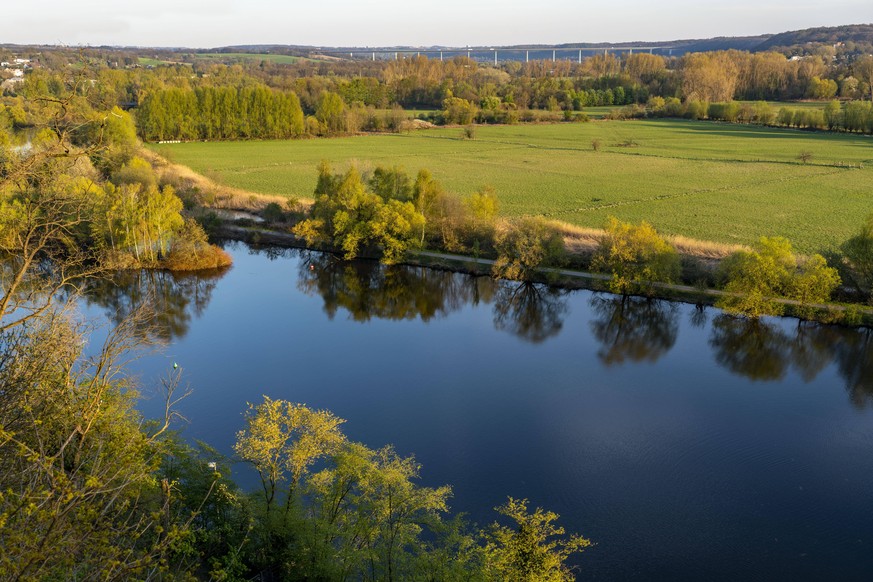 Wiesen neben Flüssen, hier der Ruhr in Nordrhein-Westfalen, dürfen in der Regel nicht landwirtschaftlich genutzt werden. Mit dem neuen Landeswassergesetz ändert sich das.