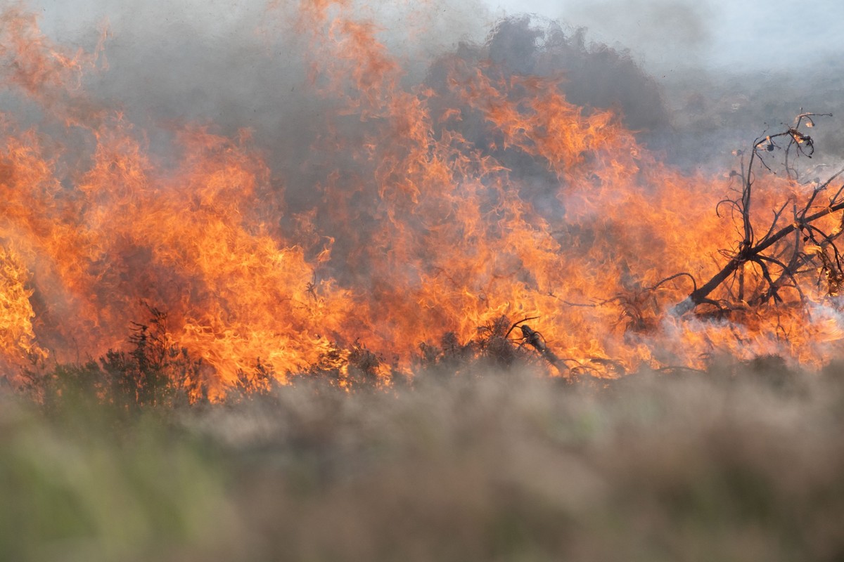 30.09.2023, Mecklenburg-Vorpommern, Torgelow: Ein Feuer brennt auf dem Truppenübungsplatz Jägerbrück bei Torgelow. Auf einem Bundeswehrgelände bei Torgelow bekämpften sie laut Übungsszenario einen sic ...