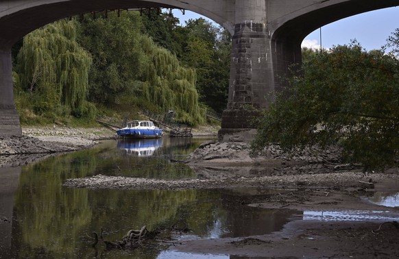 Der Rhein bei extremen Niedrigwasser: Bei Bad Honnef Rhöndorf, unterhalb des Drachenfels, liegt nicht nur das historische Rheinschiff Aalschokker Aranka im Altrheinarm an der Insel Grafenwerth auf Gru ...