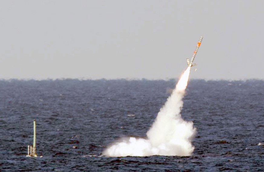 Diese Waffensysteme kamen in Syrien zum Einsatz