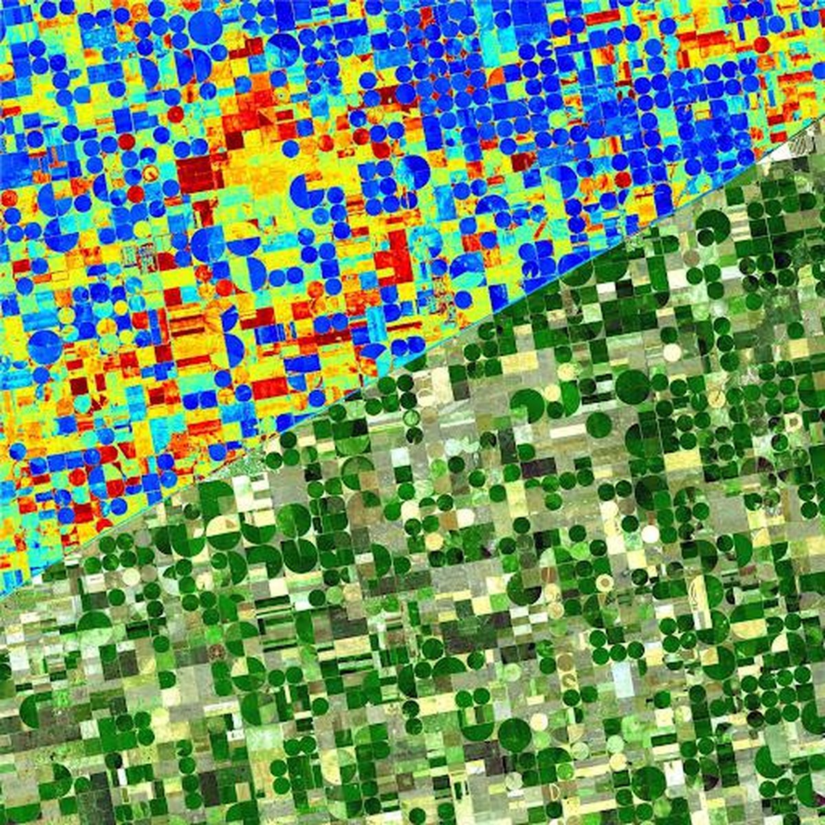 So sehen die Bilder des Satelliten aus.