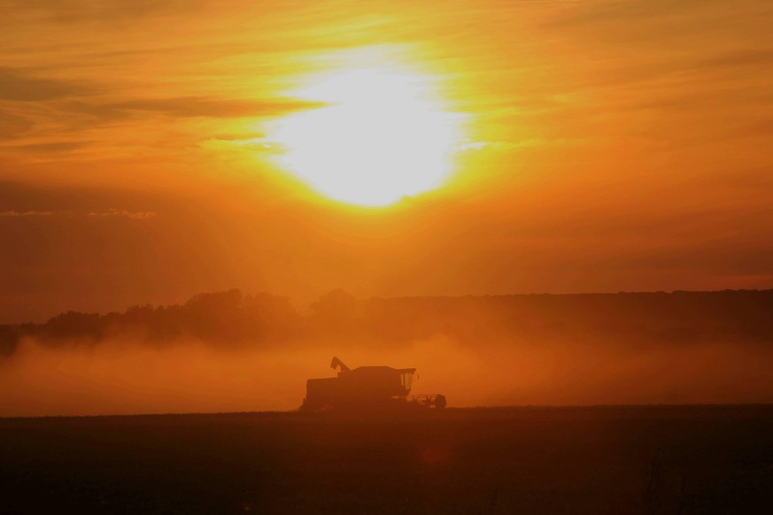 Landwirte in Niedersachsen scharren mit den Hufen - Getreideernte beginnt Salzgitter - Lichtenberg. / Niedersachsen. Für die Landwirte beginnt die Erntesaison. Nach haltender Trockenperiode im ersten  ...