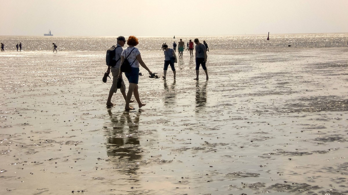 Urlauber wandern durch bei Ebbe das Watt in Büsum in Schleswig-Holstein. Büsum Niedersachsen Deutschland *** Holidaymakers wander through the tidal flats at low tide in Büsum in Schleswig Holstein Büs ...