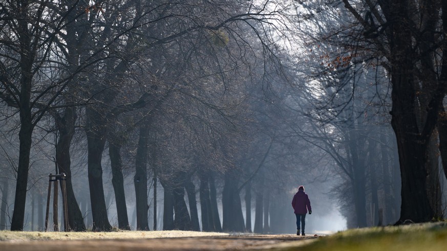 01.03.2023, Sachsen, Dresden: Eine Frau geht am Morgen bei niedrigen Temperaturen im Großen Garten spazieren. Auf einen zumeist sonnigen aber recht kühlen Frühlingsanfang folgt zum Ende der Woche unbe ...