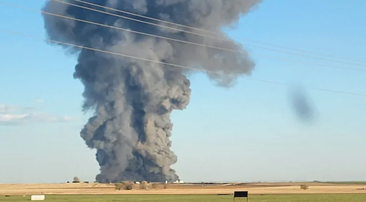 90 Prozent der Herde wurden bei der Explosion auf der Farm getötet.