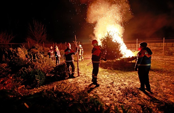 12.01.2024, Sachsen-Anhalt, Nordharz: Mitglieder der Feuerwehr verbrennen zum Knutfest in der Gemeinde Stapelburg Weihnachtsbäume. Die Freiwillige Feuerwehr hat zum traditionellen Knutfest 300 Weihnac ...