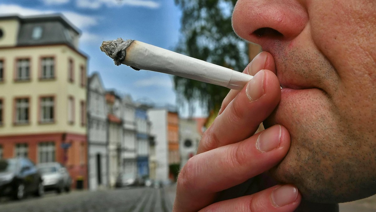 Marihuana Hanf kiffen