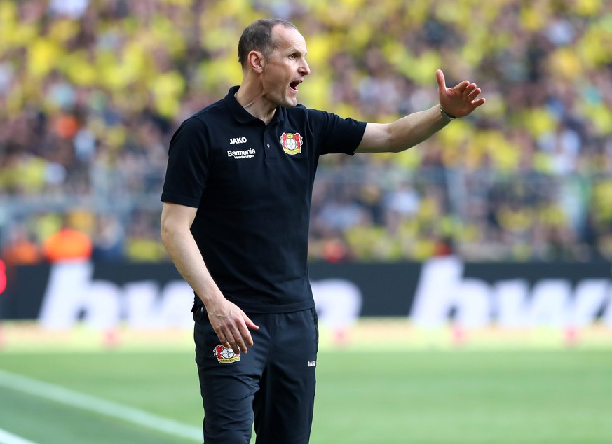 Vater des Bayer-Erfolgs: Trainer Heiko Herrlich.