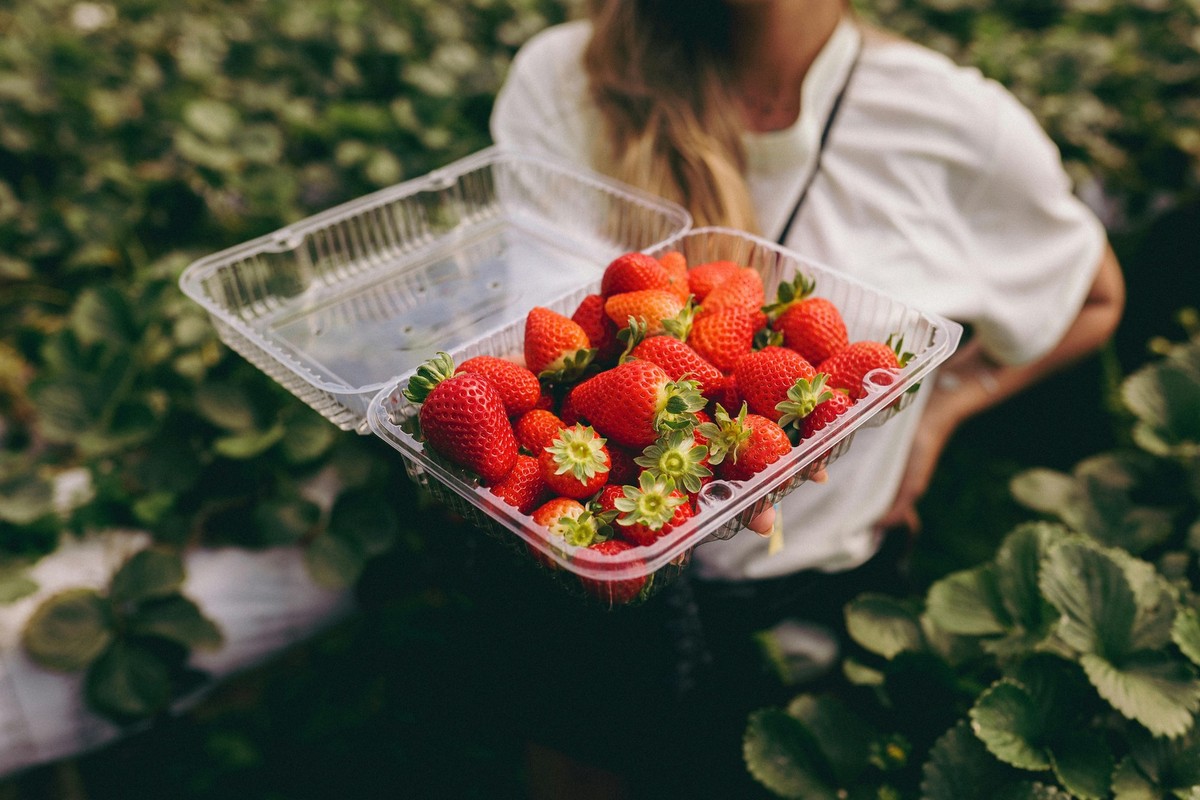 Erdbeeren. Sommer. Sonne. Glück.