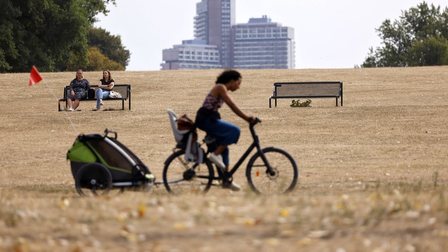 In Köln hat der trockene Hitze-Sommer besonders viele Grünanlagen verdorren lassen. Bäume verlieren bereits ihre Blätter im Sommer, Wiesenflächen sind ausgedorrt. Wegen der großflächigen Bodenversiege ...